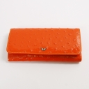 Tergan, , 5677-089-a